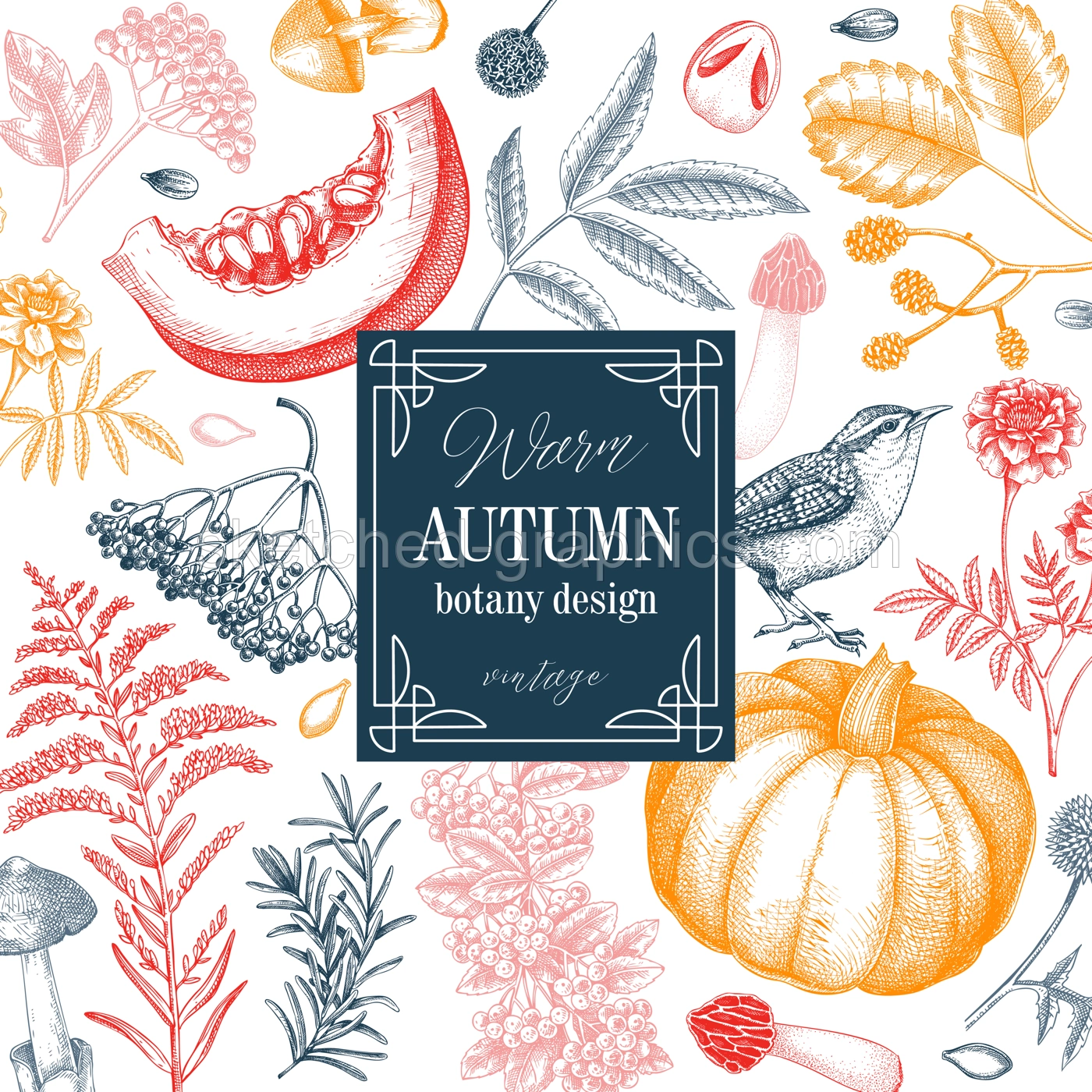 Vintage autumn card design. Thanksgiving background. Fall leaves, pumpkins, berries, mushrooms sketches. Hand-drawn vector illustration. NOT AI generated Illustration